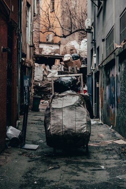 A worker wearing a red and yellow high-visibility jacket stands behind a large red rubbish collection vehicle, which is positioned on the side of a street during daytime. The back of the vehicle has a